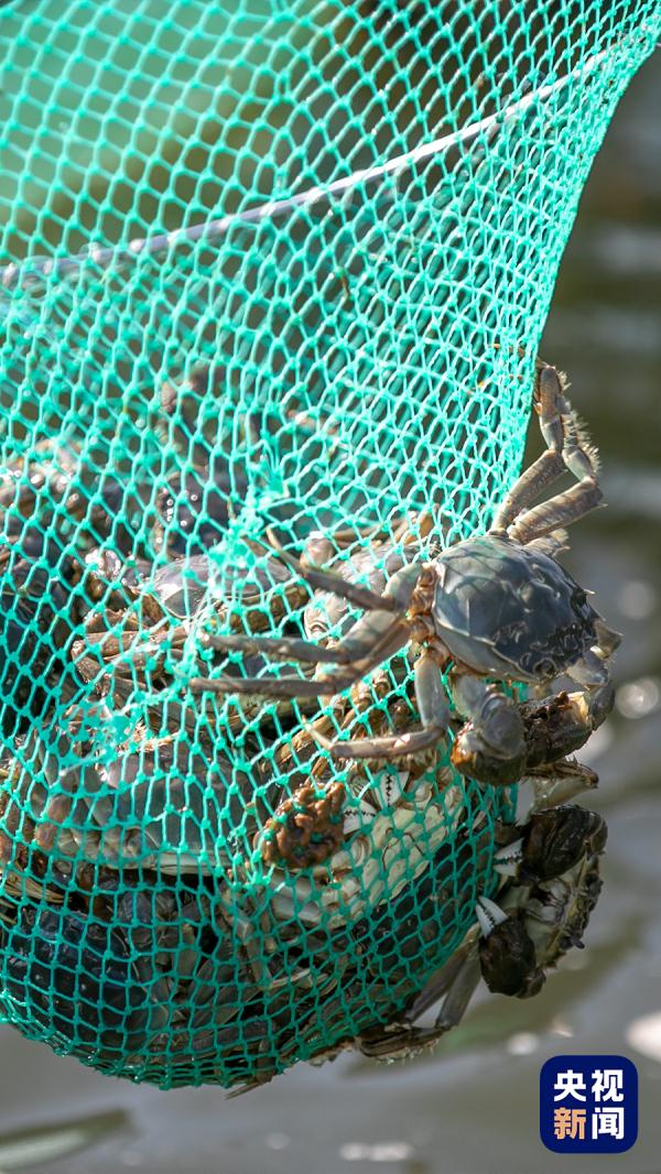 “我的家乡特产,难道特地瞒着我产?”