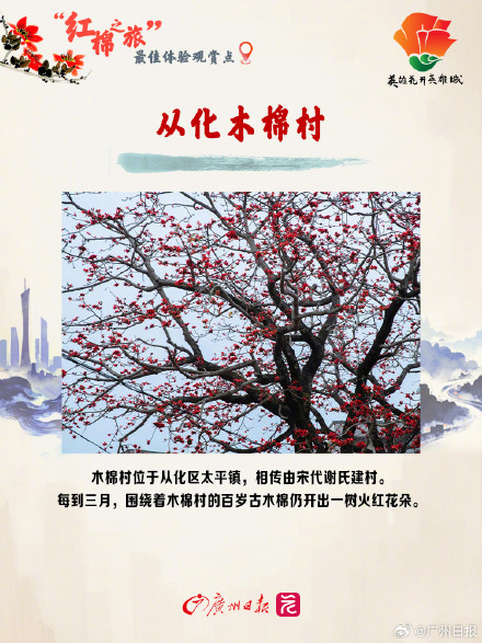 3月的广州被木棉花刷屏了，推荐这10个绝美打卡地
