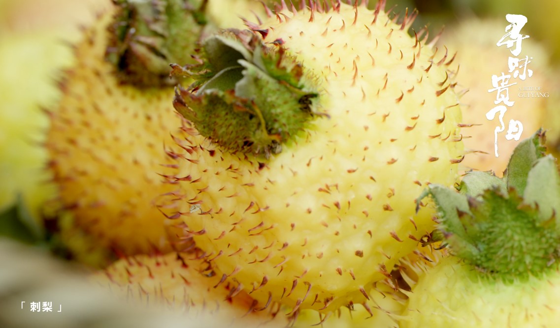 《寻味贵阳》美食篇:野性十足的刺梨.jpg