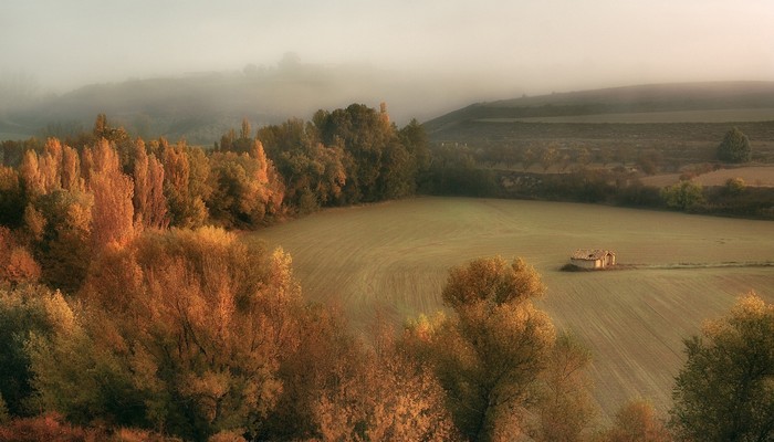 贺呵呵为什么叫伍贺 贺峻霖原名为什么叫伍贺
