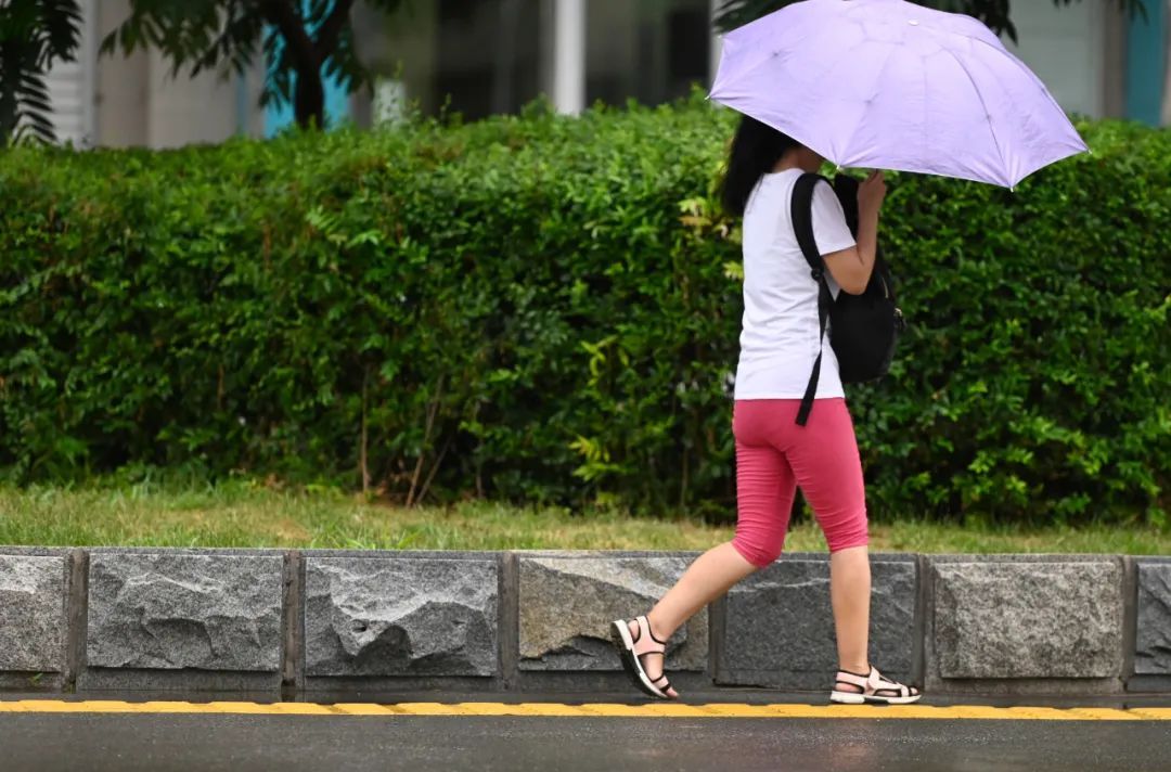 注意！小雨伴有雷电、短时大风、冰雹等强对流天气马上到！沈阳城区主要降水时段为……