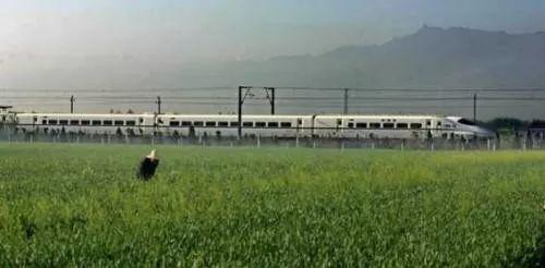 宝鸡70年70事，历数新中国成立来发生在宝鸡的事