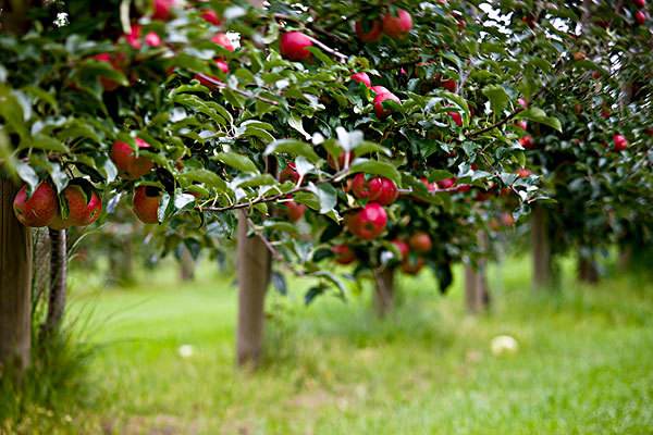 抢劫判几年，14岁抢劫判几年