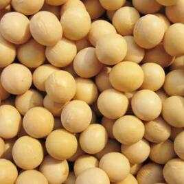 黑龙江最有名的特产是什么(黑龙江特产排行榜前十名)-第3张图片-飞扬号