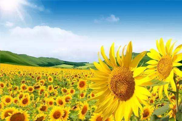 黄体破裂是什么原因造成的,子宫黄体破裂是什么原因造成的