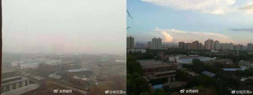 (来自网友@桃花雪w)