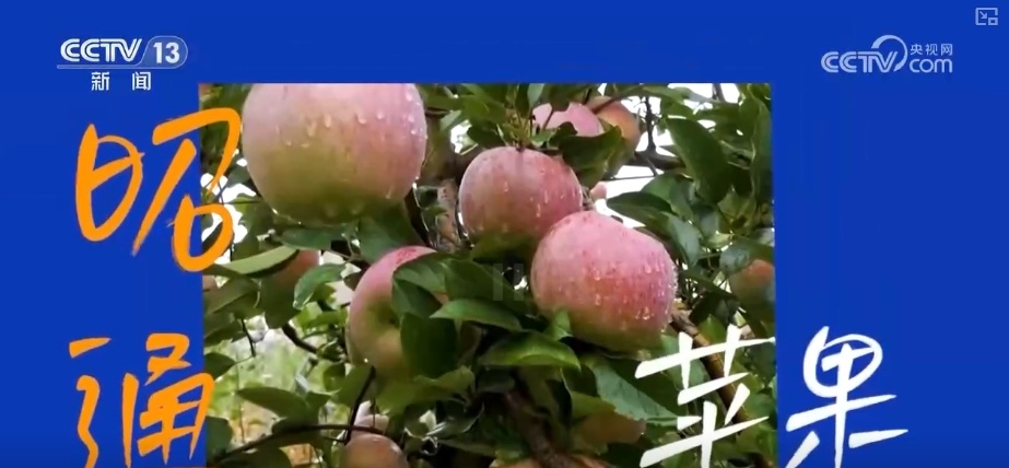 开盲盒!这些国货之光含“滇”量高!