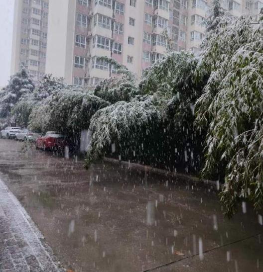 未来10天陕西省将迎来3次降温过程