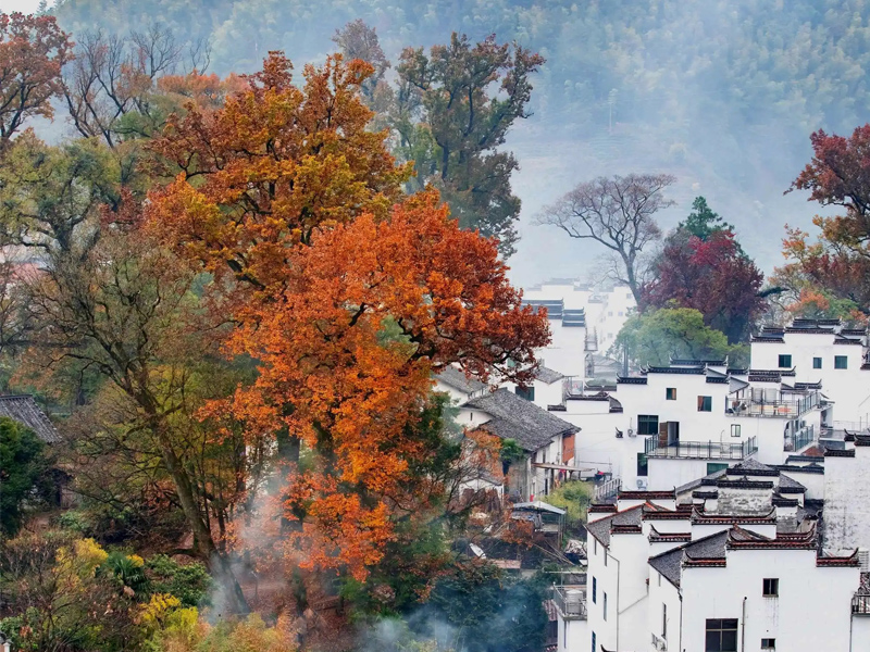 11月份婺源必去的景点