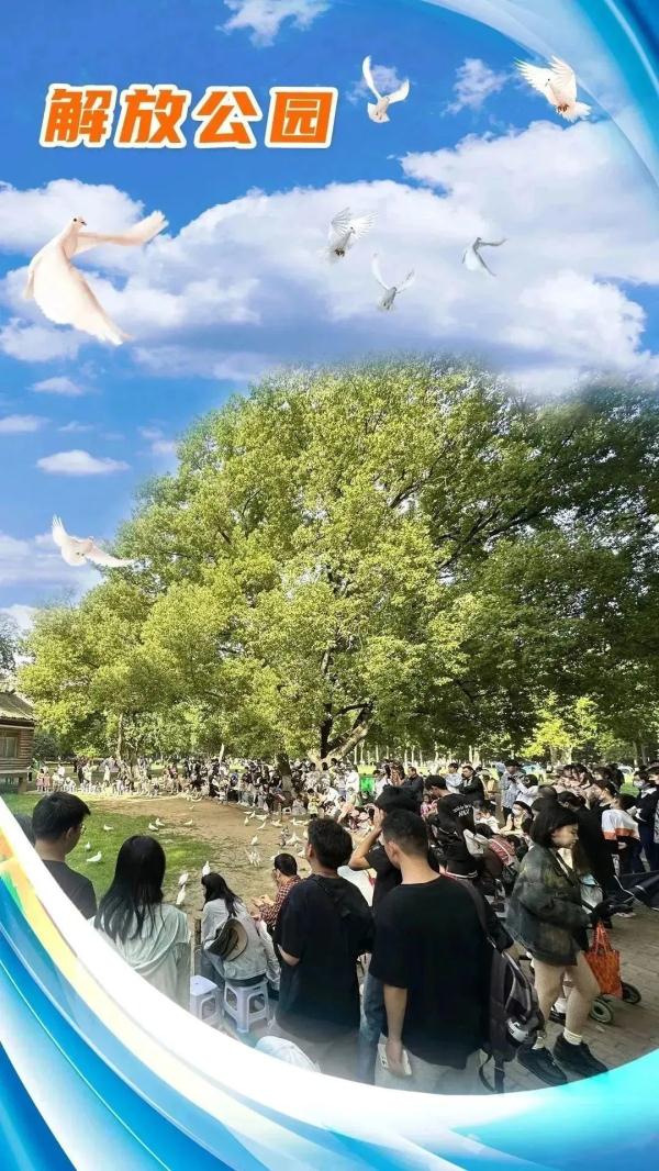 人气爆棚!武汉这些最亮眼的地标,值得打卡无数次!