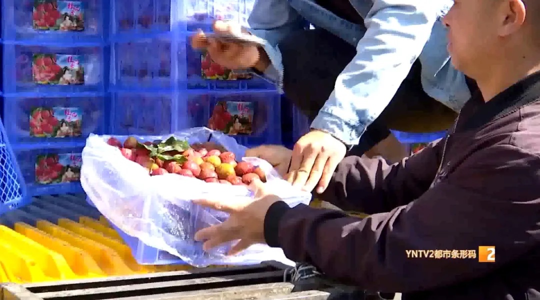 上市啦！这口香甜，很多云南人爱吃