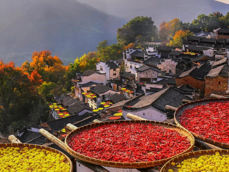 11月份婺源必去的景点