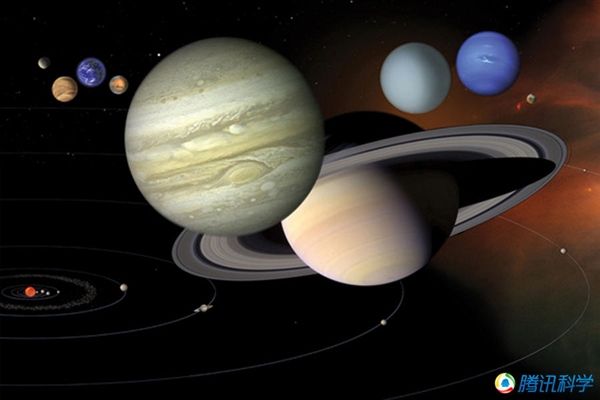 杜鹃花什么时候开，金佛山杜鹃花什么时候开