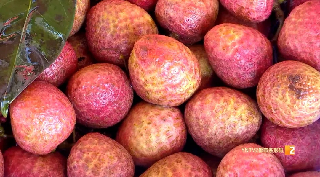 上市啦！这口香甜，很多云南人爱吃