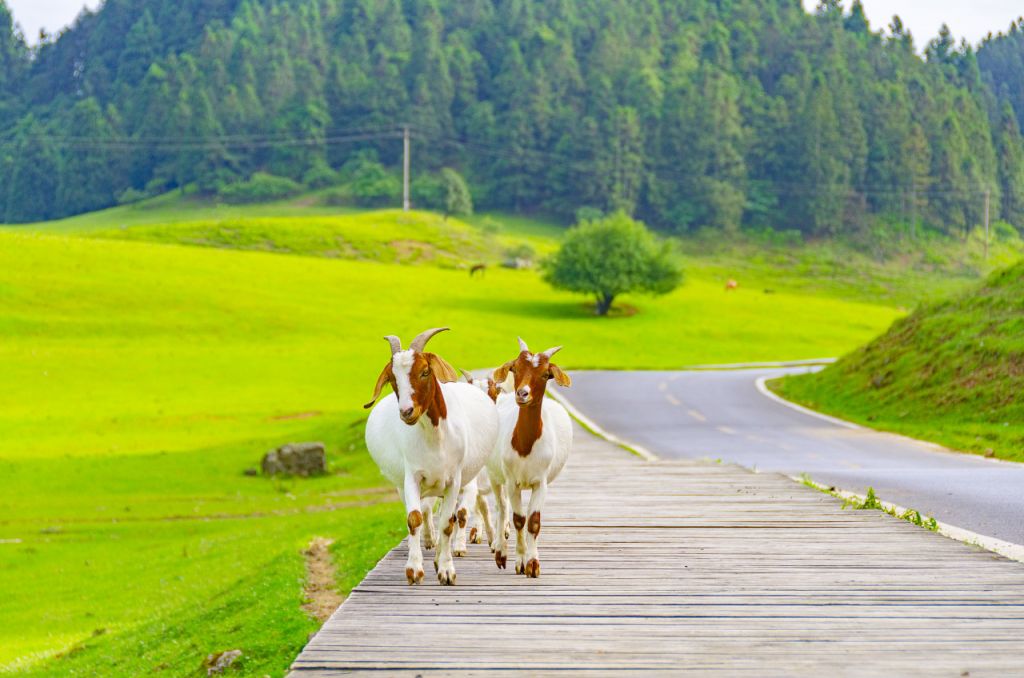 2025重庆武隆二日游攻略（游玩路线 交通 购票）