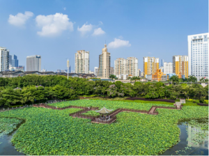 南宁南湖睡莲拍摄指南(速通版):机位地图+光线密码,收割朋友圈只需这几步