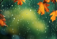 北京今日小雨添凉意 明后晴暖需防温差