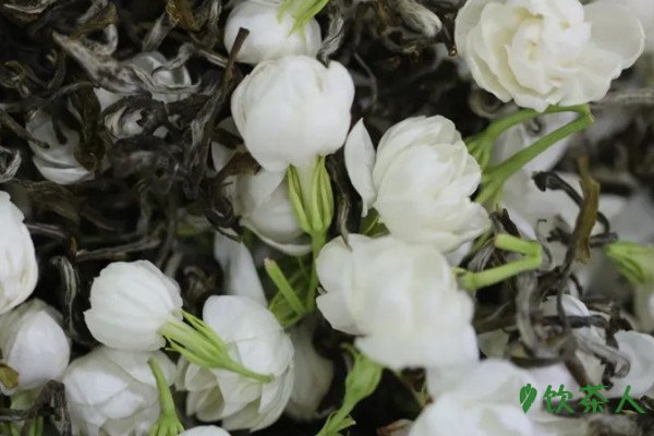 福建五大名茶,福建什么茶叶最出名好喝(名称及特点简介)