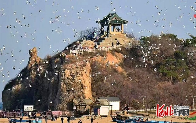 北戴河 新闻纵深配图1_副本.jpg