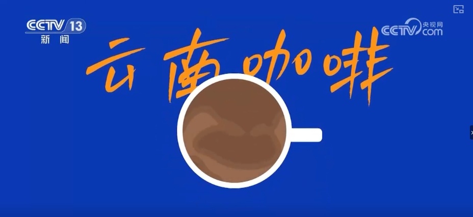 开盲盒!这些国货之光含“滇”量高!