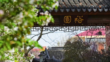 春天的你，喜欢打卡公园吗？