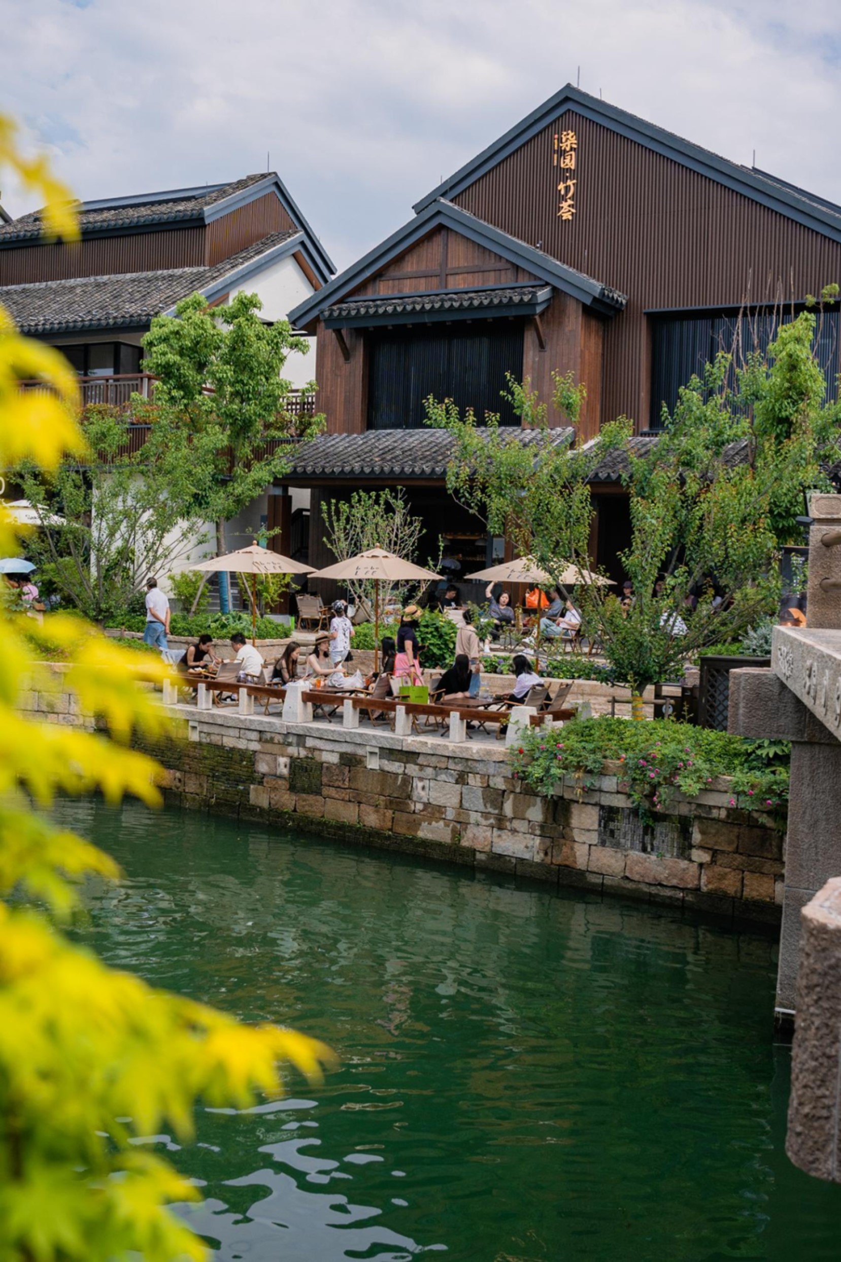 秋日“沪”水游丨青浦，江南秋日胜春朝